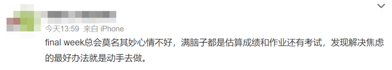 essay辅导