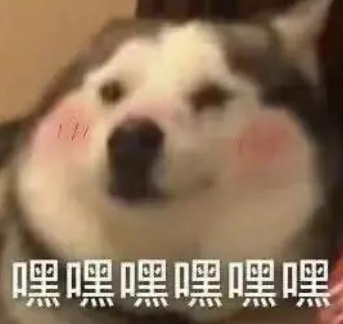 留学生辅导