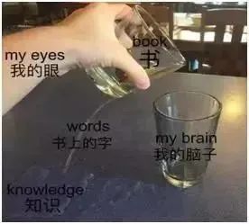 留学生essay辅导